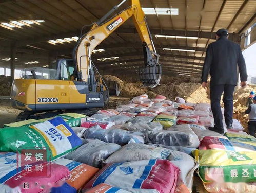 我市集中銷毀8萬(wàn)斤假劣種子，強(qiáng)化農(nóng)作物種子市場(chǎng)監(jiān)管