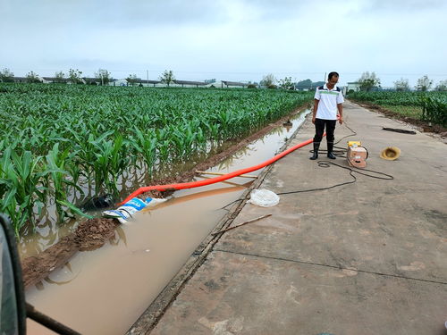 中國(guó)農(nóng)業(yè)科學(xué)院作物科學(xué)研究所農(nóng)作物種子經(jīng)營(yíng) 科技創(chuàng)新與產(chǎn)業(yè)服務(wù)